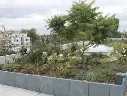 Capture d'écran 2025-03-20 211135.webp