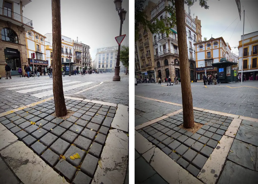 sevilla-ecologico.webp