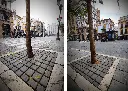 sevilla-ecologico.webp